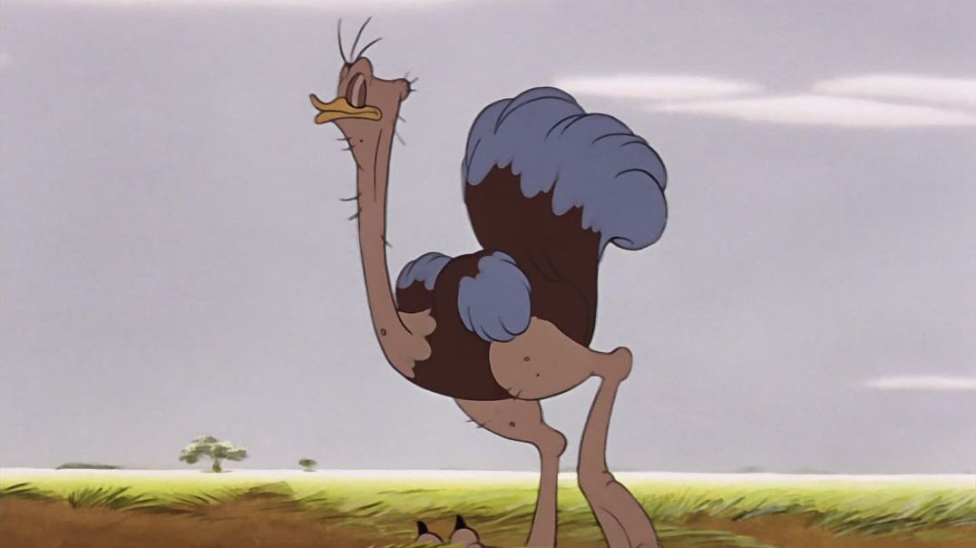 Aventura Disney na América do Sul com Pato Donald, Pateta e Zé Carioca.
