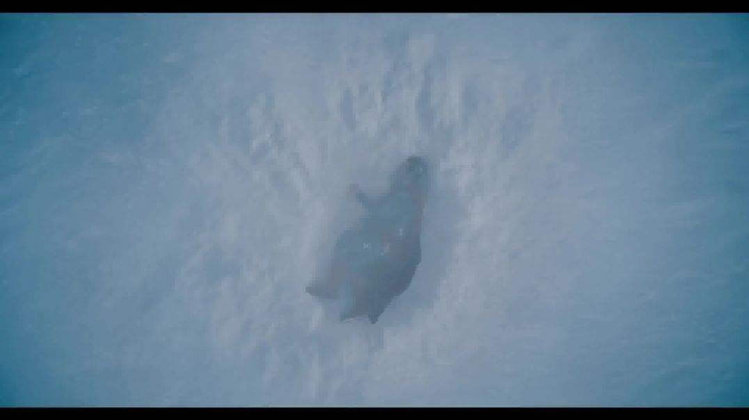 Filme Superman 2025 l  Dublado