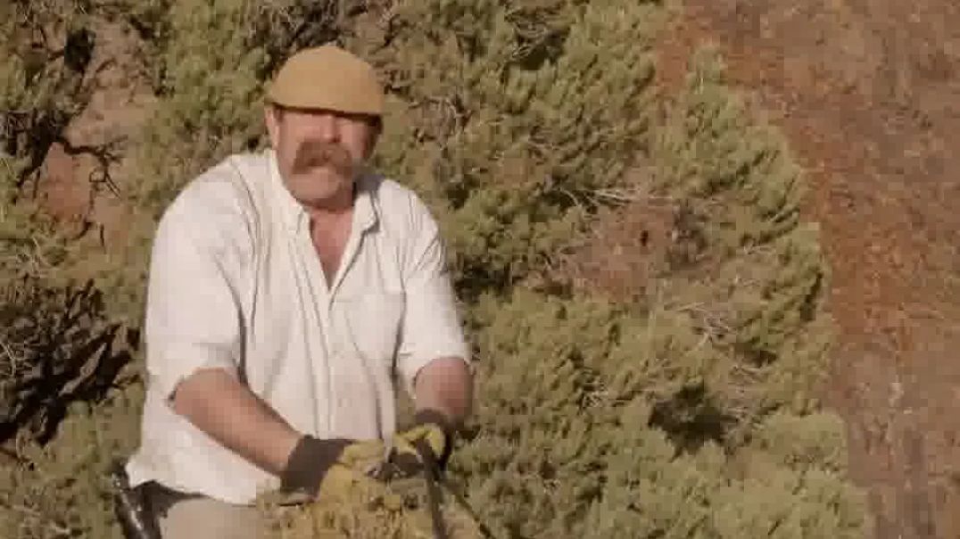 Desafios da Estrada (T1/Ep.3): A Conquista do Deserto – O Inferno de Areia e a Prova Final de Resist