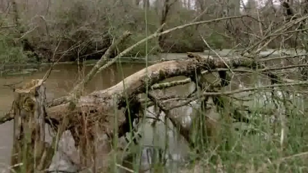 Desafios da Estrada (T1/Ep.1): Desafio no Pântano – A Extrema Prova de Habilidade e Resistência