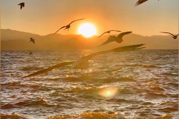 EZNPC Guide Diablo 4 next expansion release date What we know